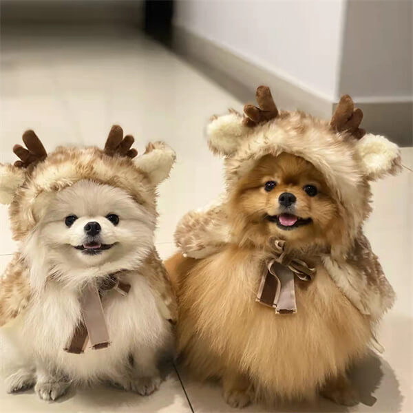 Festive Small Pet Accessory
