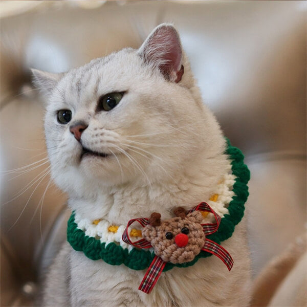 Pet Holiday Dress-Up