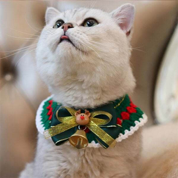 Cute and Comfortable Cat Collar