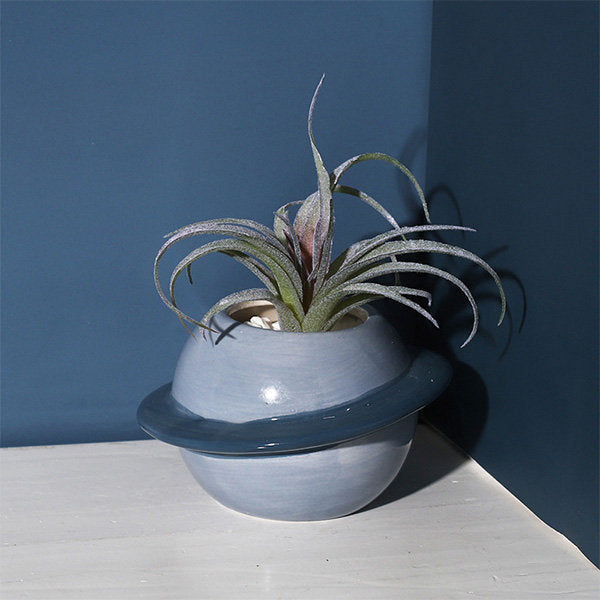 Planetary Planter
