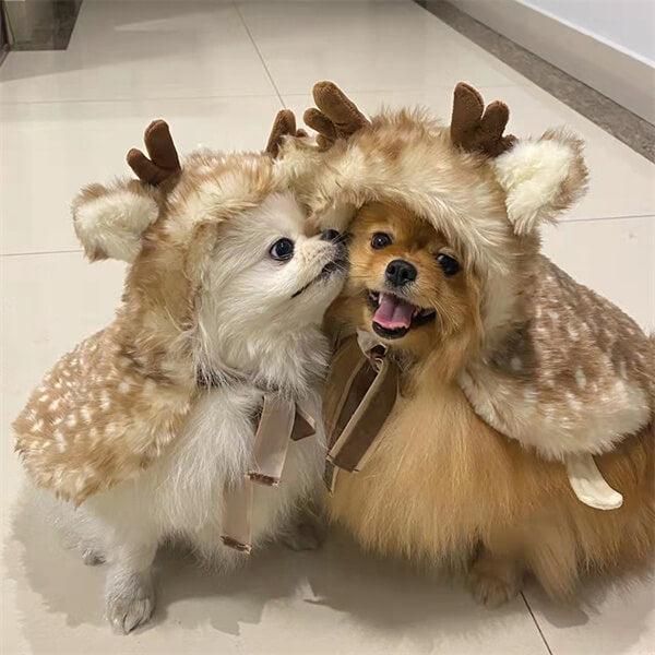 Cute Christmas Pet Fashion
