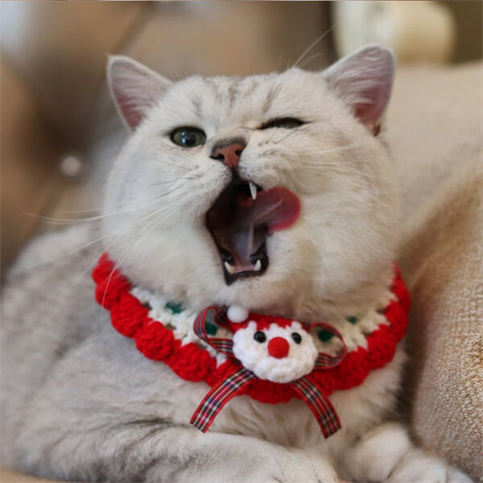 Cozy Cat Collar
