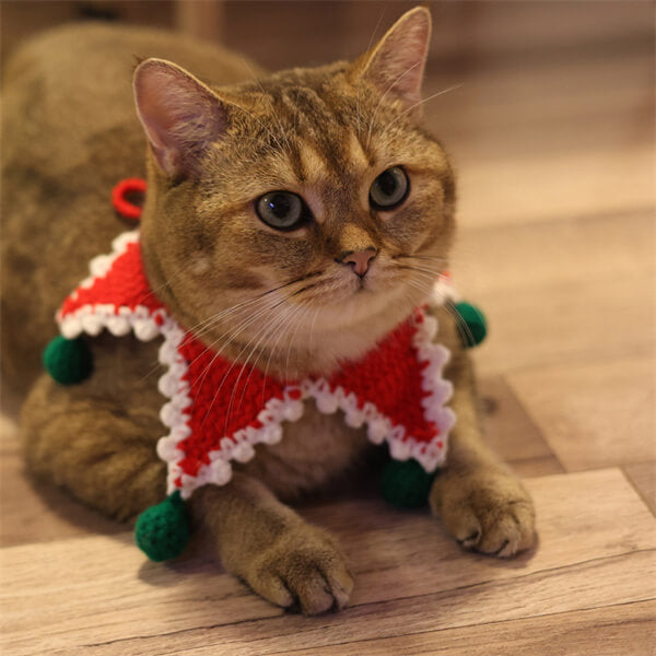 Christmas Cat Scarf - Festive Crocheted Neckwear for Pet Dress-Up and Holiday Decor