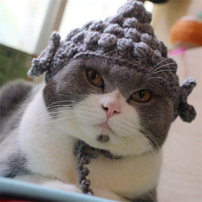 Pet Dress-Up Fun