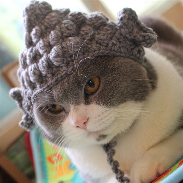 Entertaining Cat Apparel