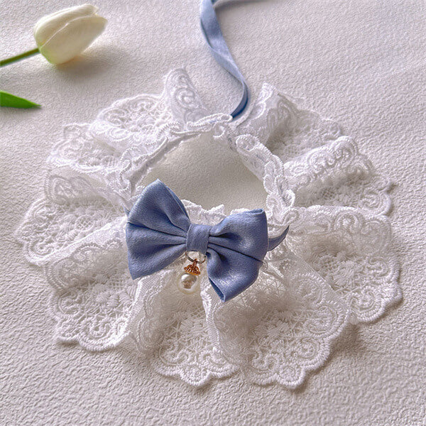 Cute Kitten Attire