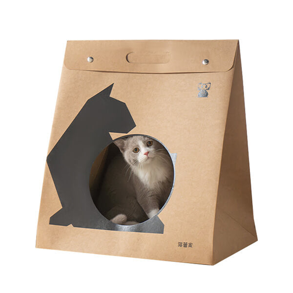 Cozy Space for Kittens