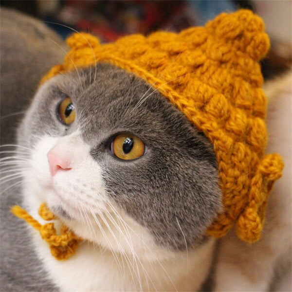 Cat Buddha Transformation