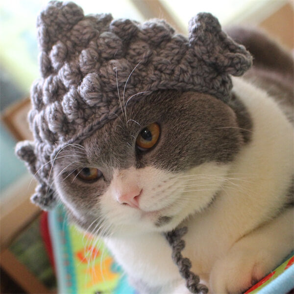 Funny Cat Headwear