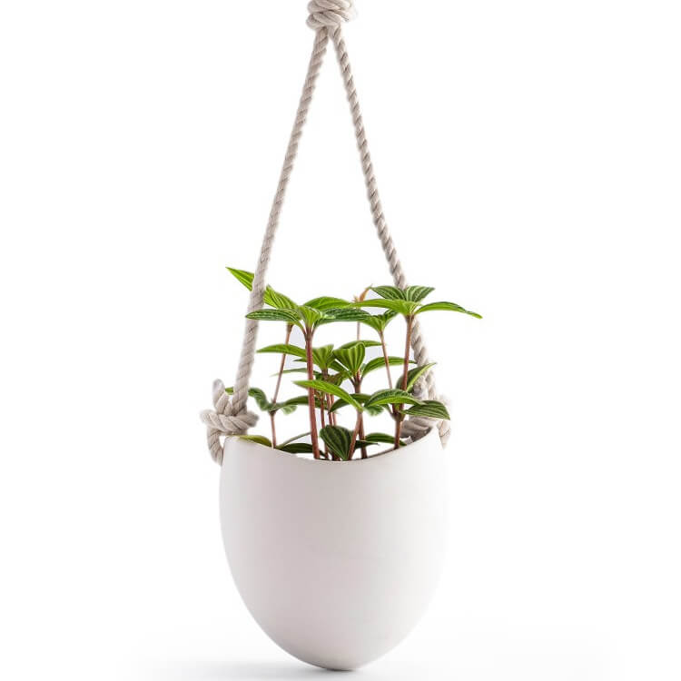 White Ceramic Wall Hanging PlanterHOME PLANTERS & VASESNEW TOWN BAZAAR