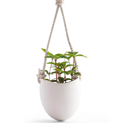 White Ceramic Wall Hanging PlanterHOME PLANTERS & VASESNEW TOWN BAZAAR