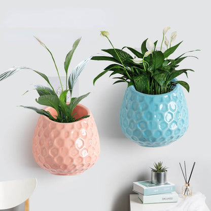 Honeycomb Shape Ceramic Wall Hanging PlanterHOME PLANTERS & VASESNEW TOWN BAZAAR