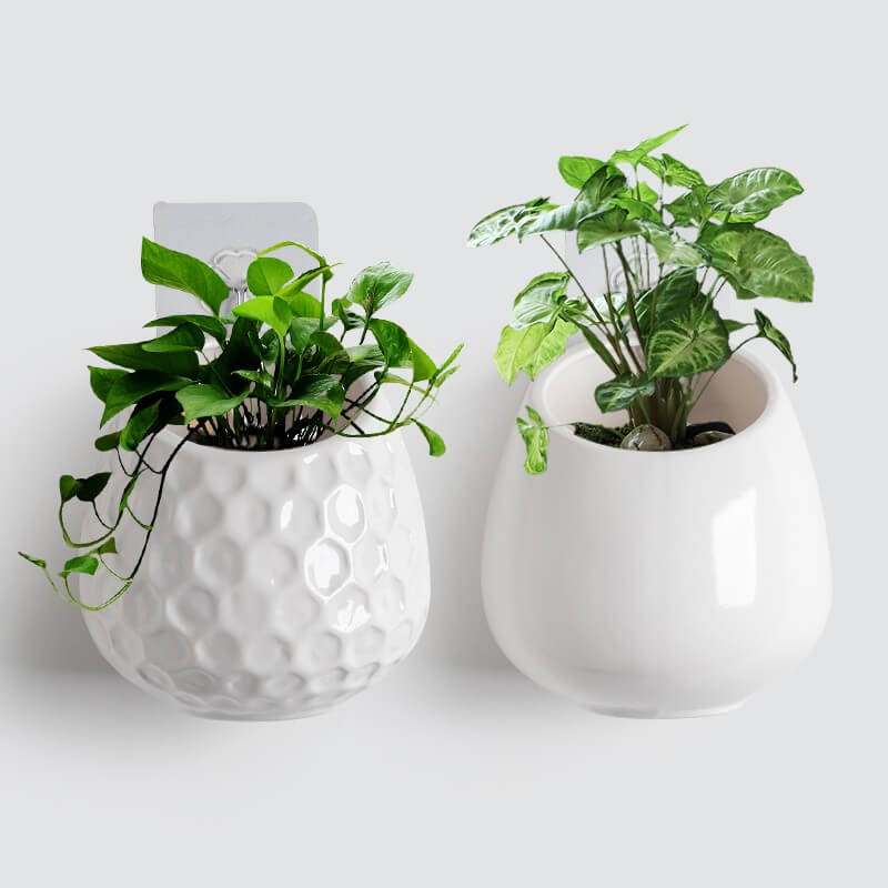 Honeycomb Shape Ceramic Wall Hanging PlanterHOME PLANTERS & VASESNEW TOWN BAZAAR