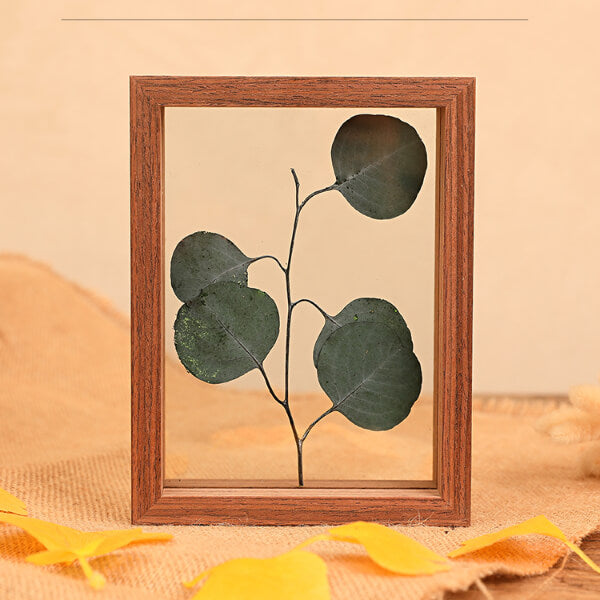 Photo Frame Specimen Frame Wood Double-sided Glass