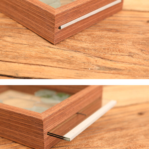 Photo Frame Specimen Frame Wood Double-sided Glass