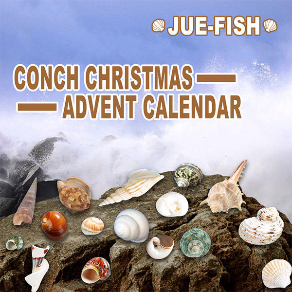 Conch Themed Advent CalendarNEW TOWN BAZAAR