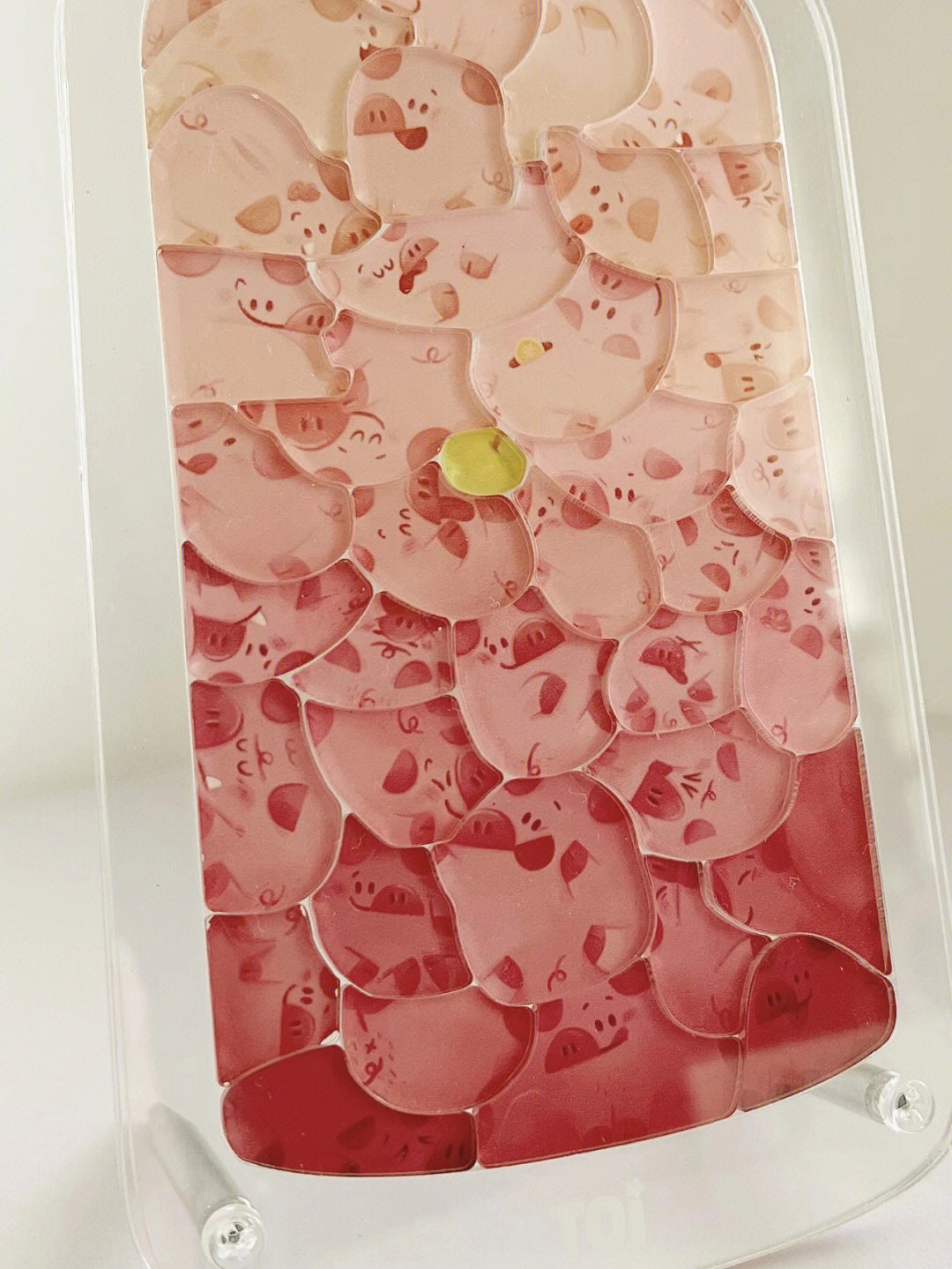 Pets in the Bottle