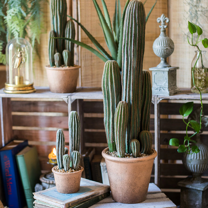 Artificial Cactus BonsaiNEW TOWN BAZAAR