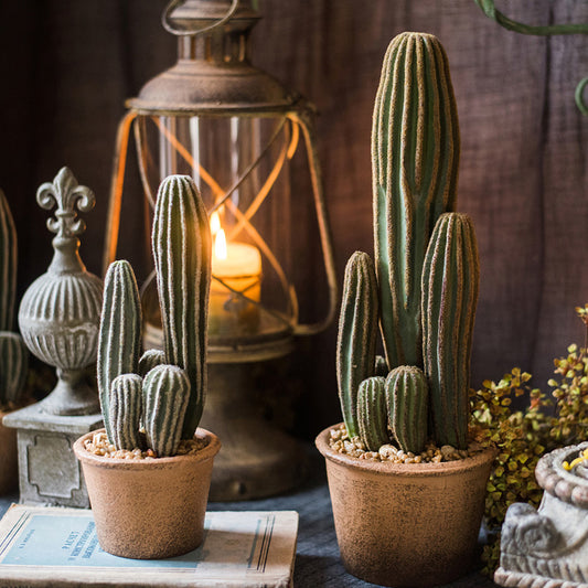 Artificial Cactus BonsaiNEW TOWN BAZAAR