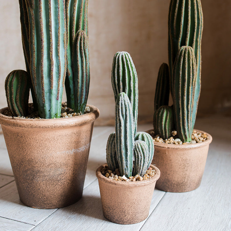 Artificial Cactus BonsaiNEW TOWN BAZAAR