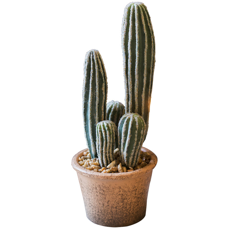 Artificial Cactus BonsaiNEW TOWN BAZAAR