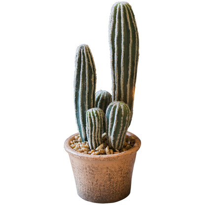 Artificial Cactus BonsaiNEW TOWN BAZAAR