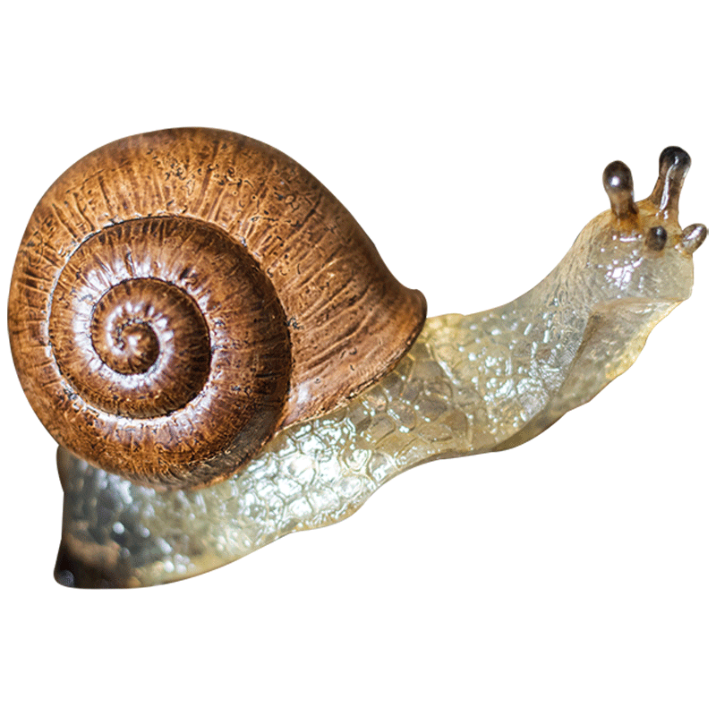 Snail DecorNEW TOWN BAZAAR