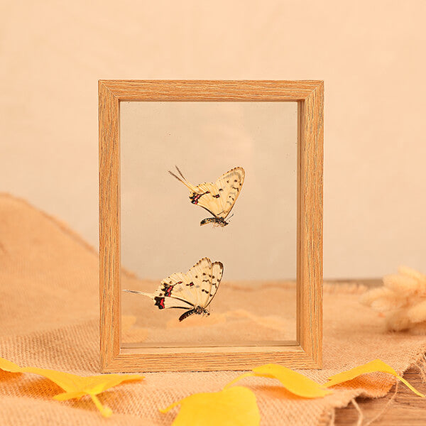 Photo Frame Specimen Frame Wood Double-sided Glass
