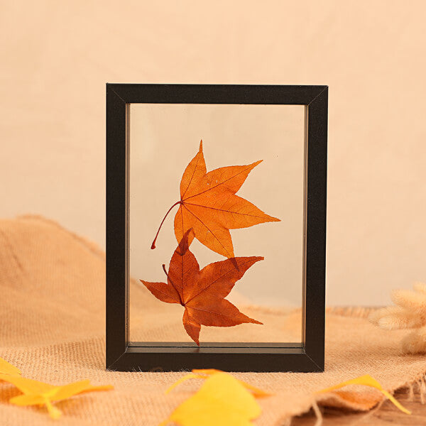 Photo Frame Specimen Frame Wood Double-sided Glass
