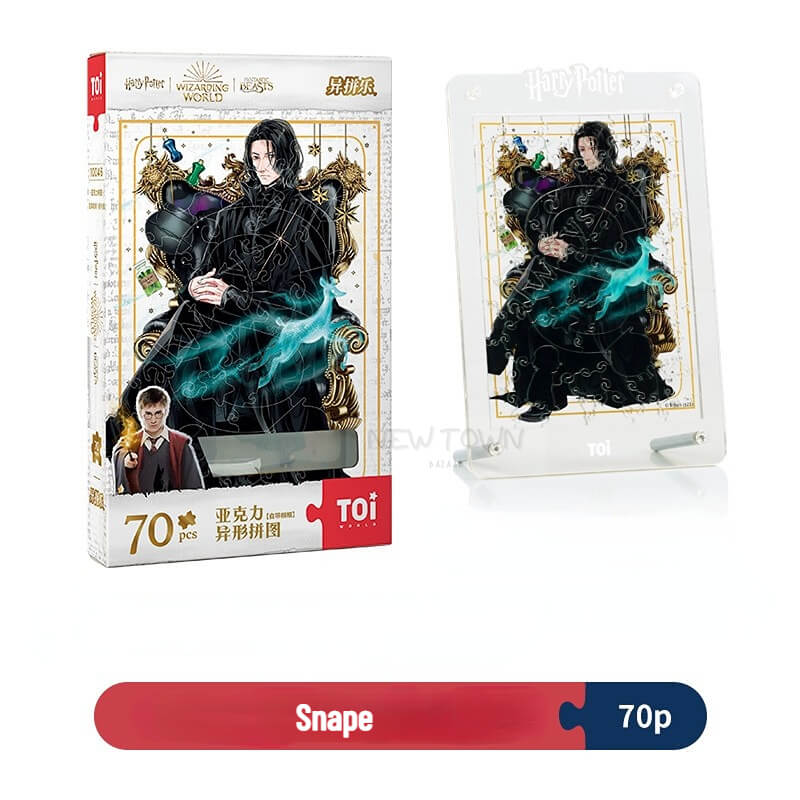 Harry Potter Magic Creative Acrylic PuzzlePuzzles, TOINEW TOWN BAZAAR