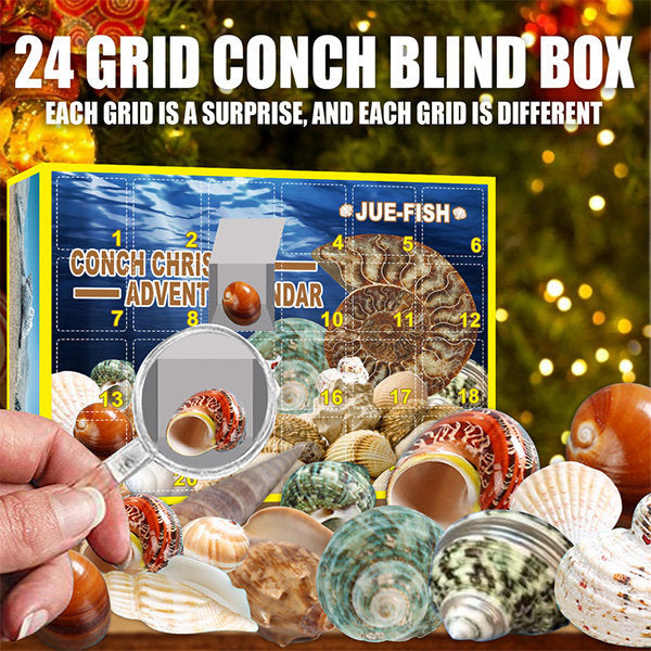 Conch Themed Advent CalendarNEW TOWN BAZAAR
