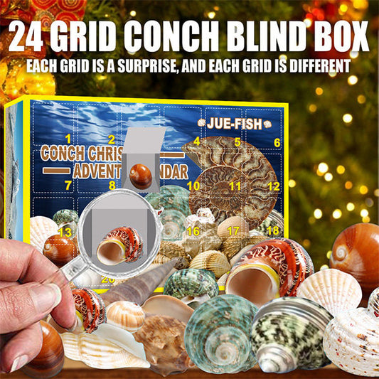 Conch Themed Advent CalendarNEW TOWN BAZAAR