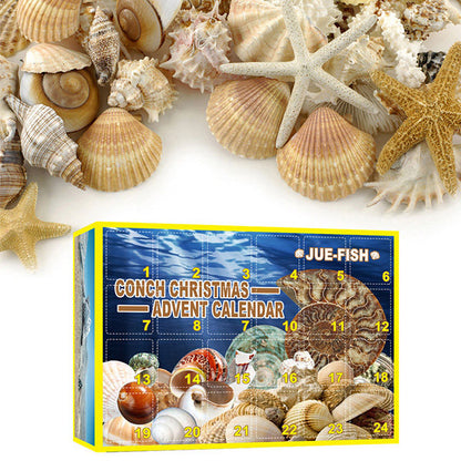 Conch Themed Advent CalendarNEW TOWN BAZAAR
