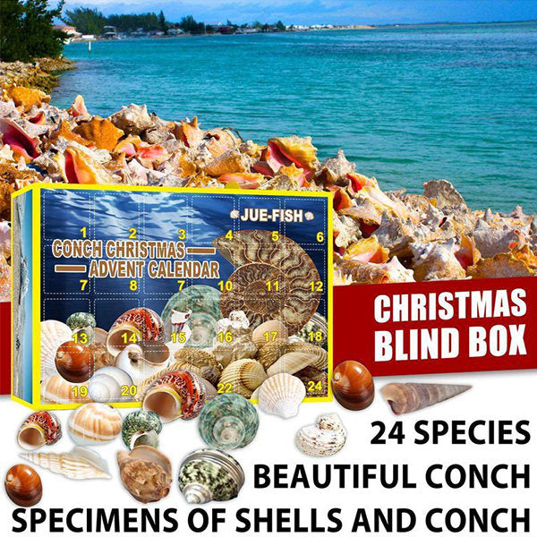 Conch Themed Advent CalendarNEW TOWN BAZAAR